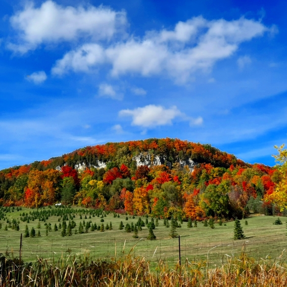 Meet your Posher, Marites - Picture 1 of 2